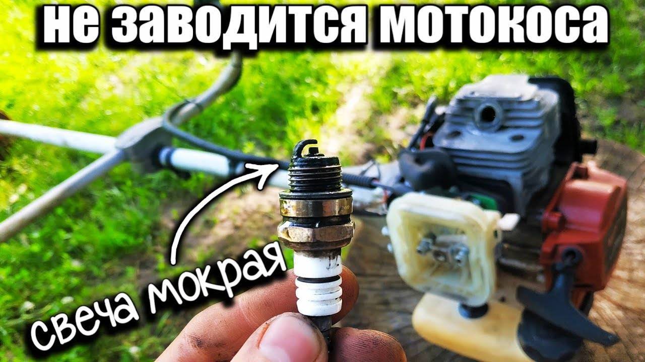 Не заводится бензокоса чемпион причины. почему не заводится триммер бензиновый? причины и их устранение