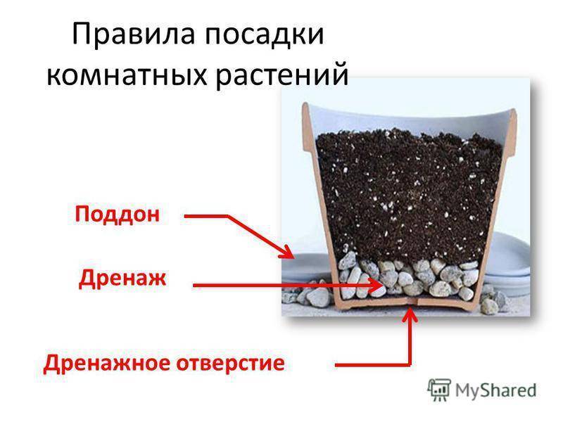 Дренаж для цветов своими руками