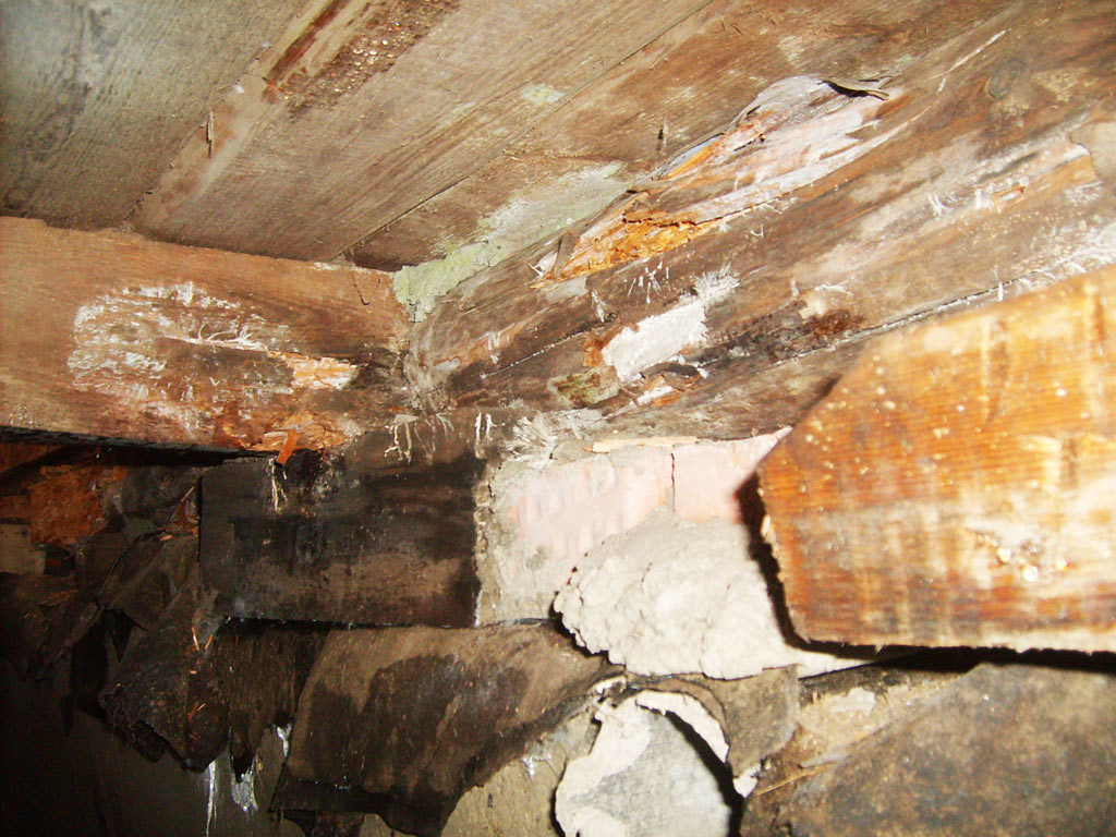 Как избавиться от грибка в подвале и подполье частного дома