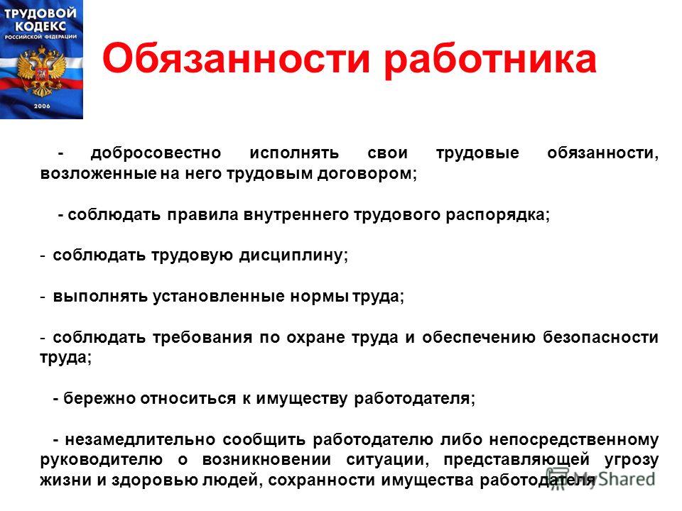 В какой стандарт добавлены описания дополнительных ролей и обязанностей проекта