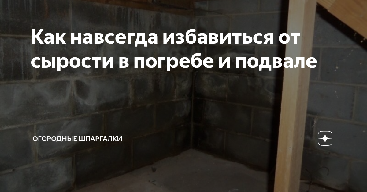 Конденсат в погребе (сырость в подвале, влажность): как избавиться?