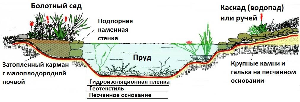 Декоративный водоем план