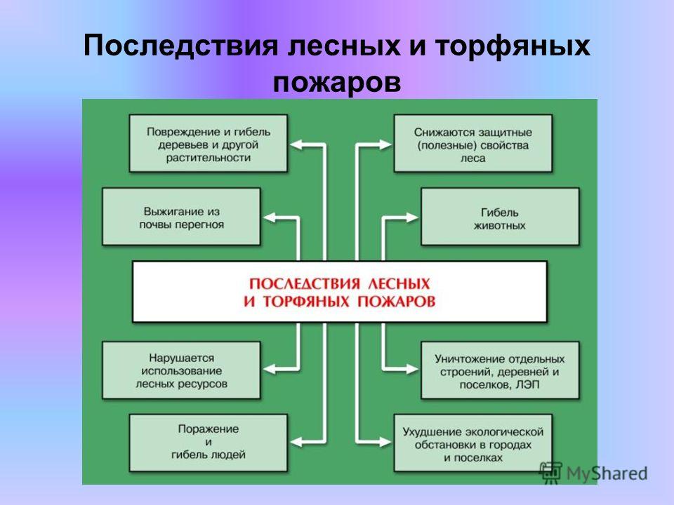 Последствия пожаров презентация