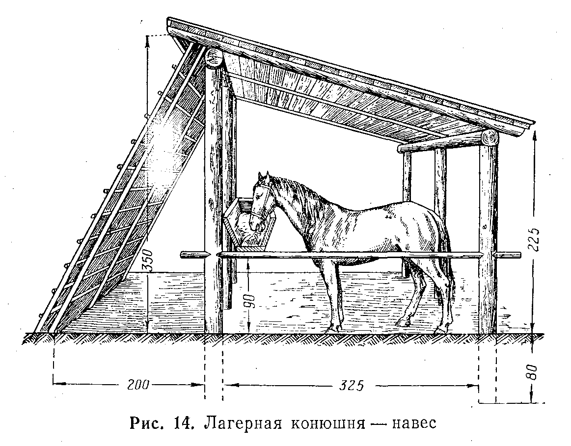 Строительство фермы для крс своими руками - сараи и коровники для коров и быков, проекты на разное количество голов