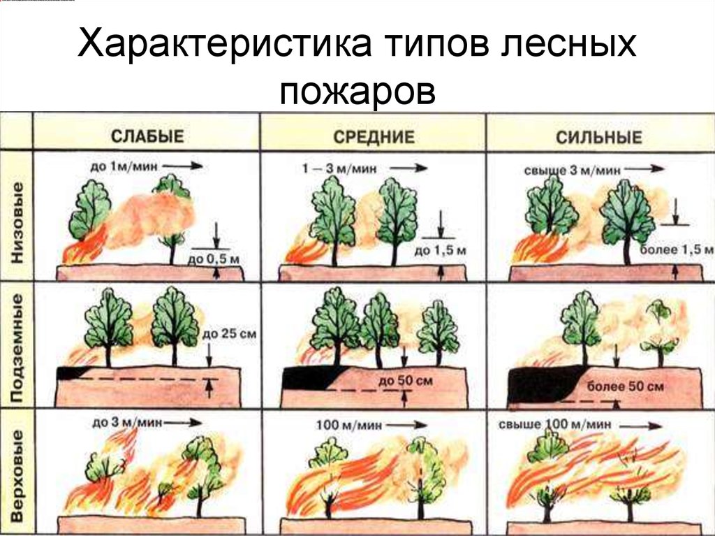 Лесные пожары и торфяные пожары и их характеристика презентация 7 класс