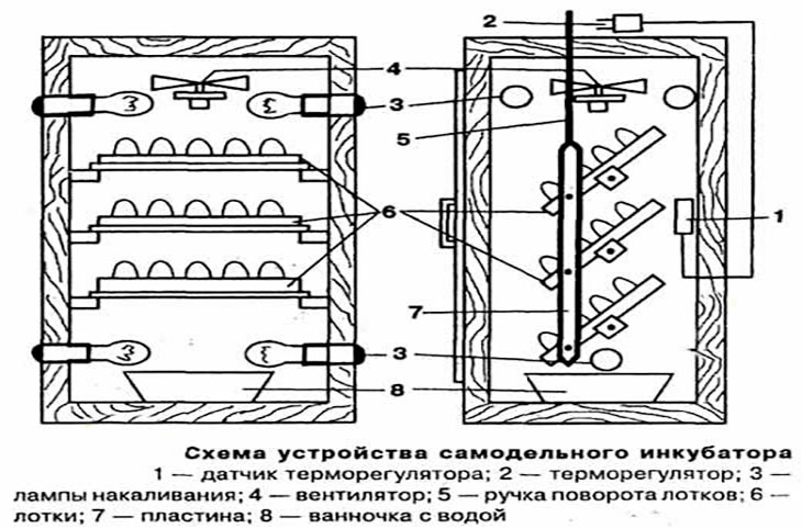 Инкубатор из пеноплекса своими руками чертежи с размерами