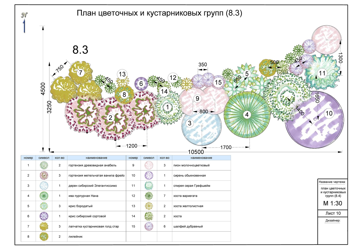 Ландшафтный дизайн схемы с описанием растений