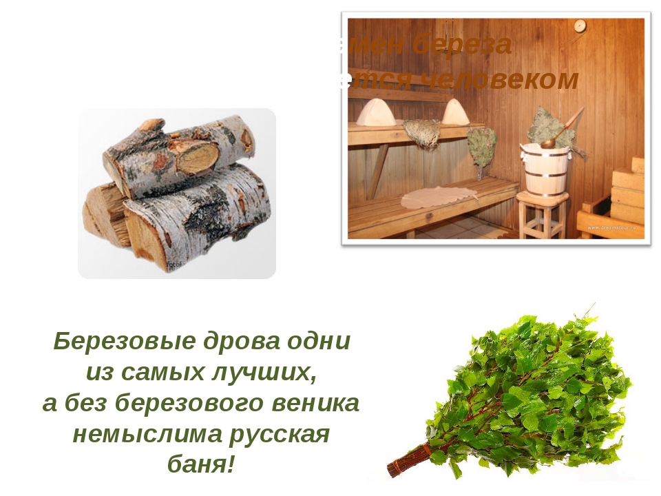 Дрова для костра: какое дерево лучше? температура горения.