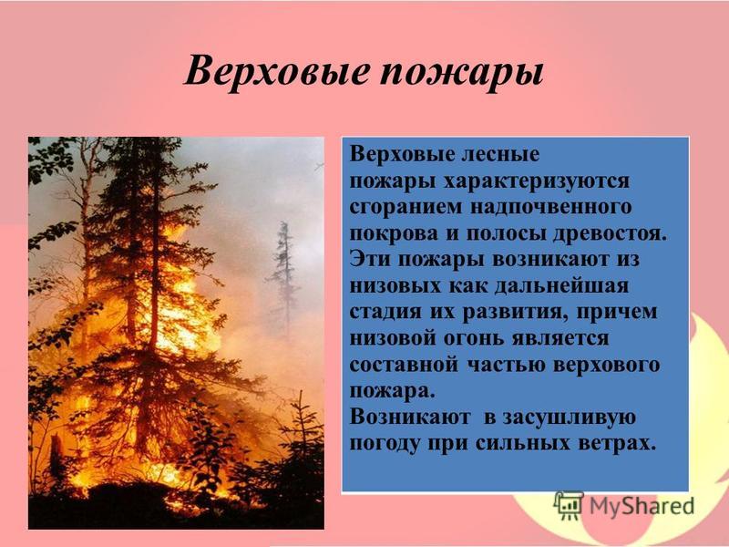 Верховой пожар сдо ржд. Лесной верховой пожар характеристика. Низовой и верховой Лесной пожар. Лесной низовой пожар характеристика. Характеристика лесного верхового пожара.