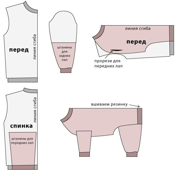 Одежда для кошек своими руками