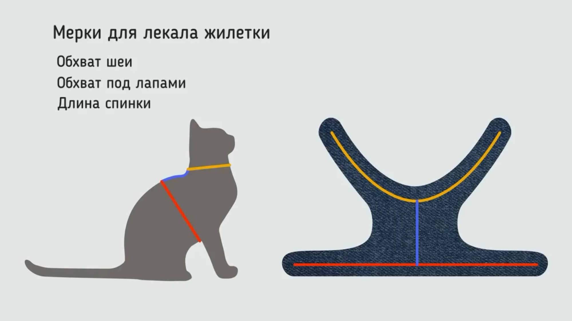 Шитье для животных: выкройки и описания одежды. как сшить своими руками для собак и кошек.