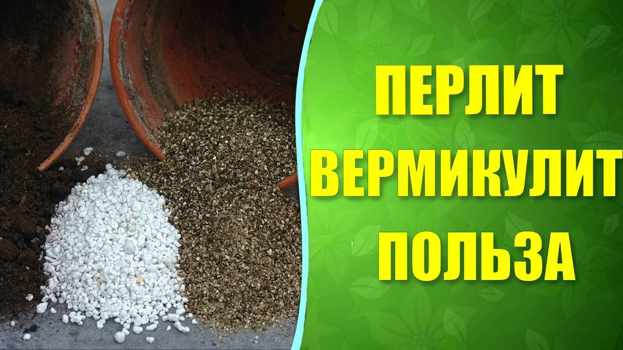 Перлит вермикулит для растений в чем разница. Агроперлит и вермикулит. Агроперлит или вермикулит. Перлит и вермикулит для растений. Перлит и вермикулит для комнатных растений.