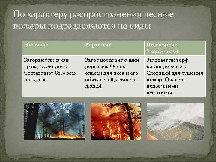 Виды природных пожаров. Природные пожары делятся на. Лесные пожары низовые и верховые.