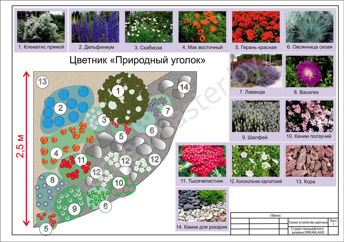 Миксбордеры из многолетников фото схемы для начинающих