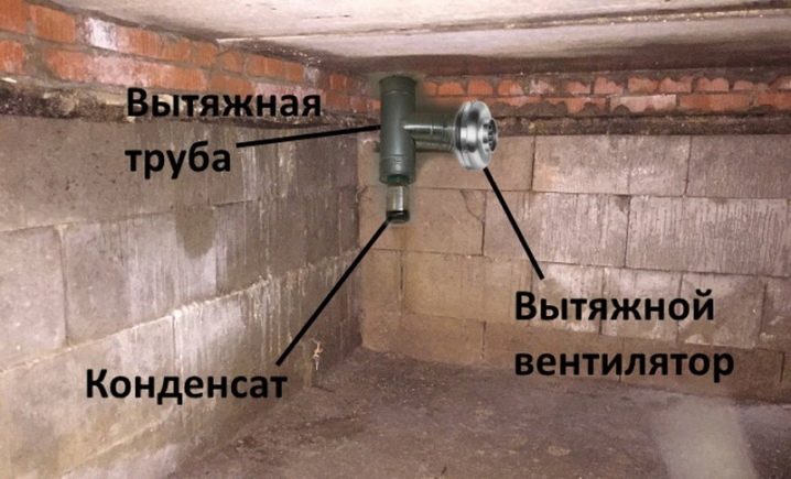 Как устранить конденсат на потолке в погребе? (22 фото)