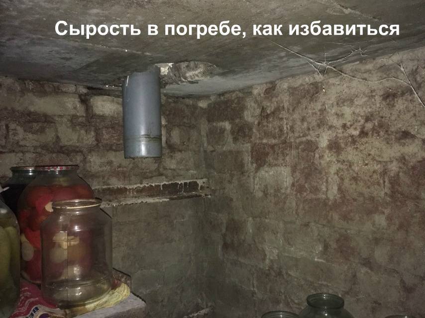 Что делать, если в погребе скапливается конденсат