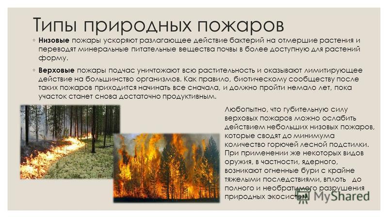 Особенности природного пожара. Классификация природных пожаров схема. Классификация лесных пожаров. Классификация природных пожаров таблица. Классификация пожаров верховые низовые.