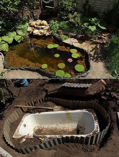 Пруд из ванны своими руками (55 фото): как сделать на даче, декоративный водоем