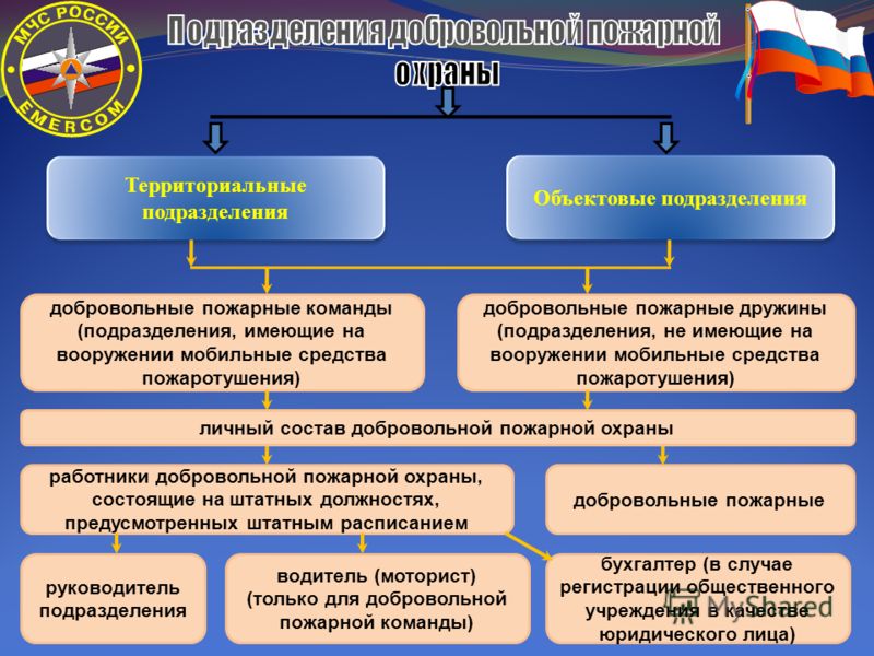 План профессиональной подготовки гпс на год