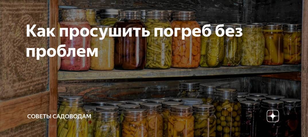 Какие действия нужно предпринять для избавления сырости в подвале